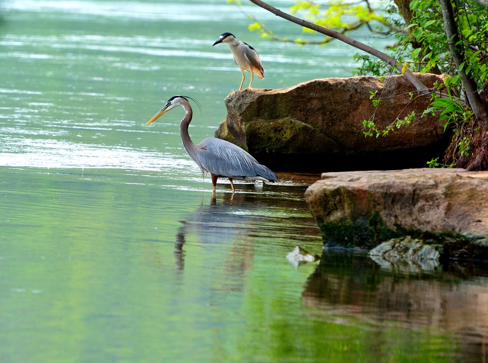 Water fishing patient