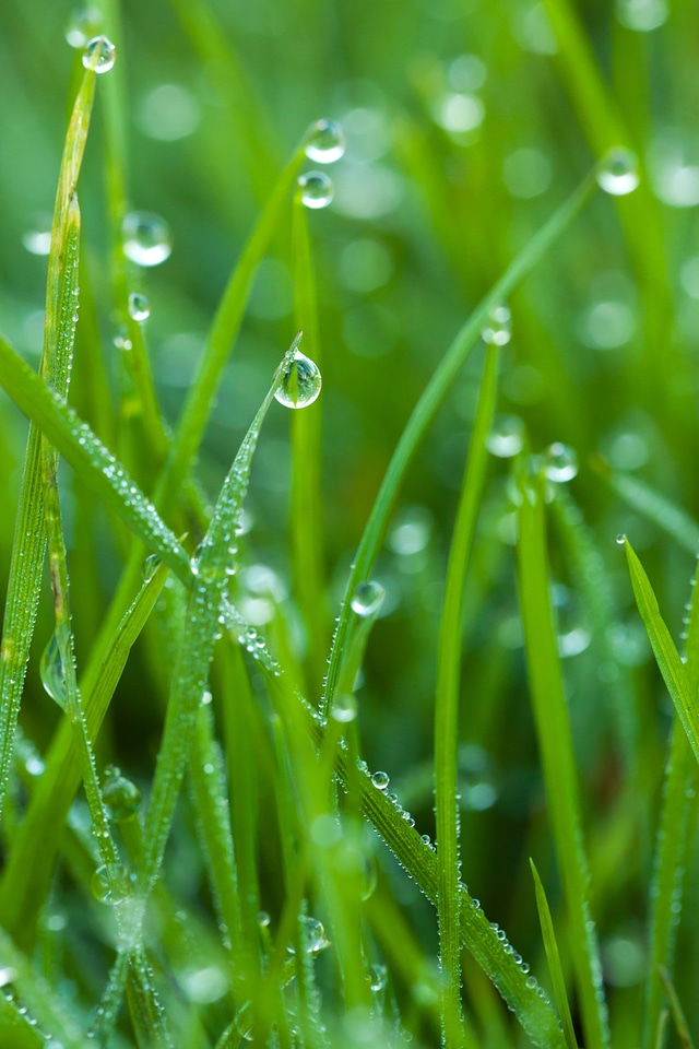 Drops background close-up