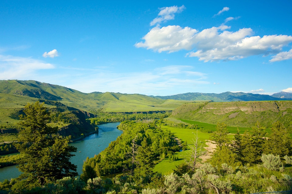 Landscape of the Green Wooded River Valley, Idaho