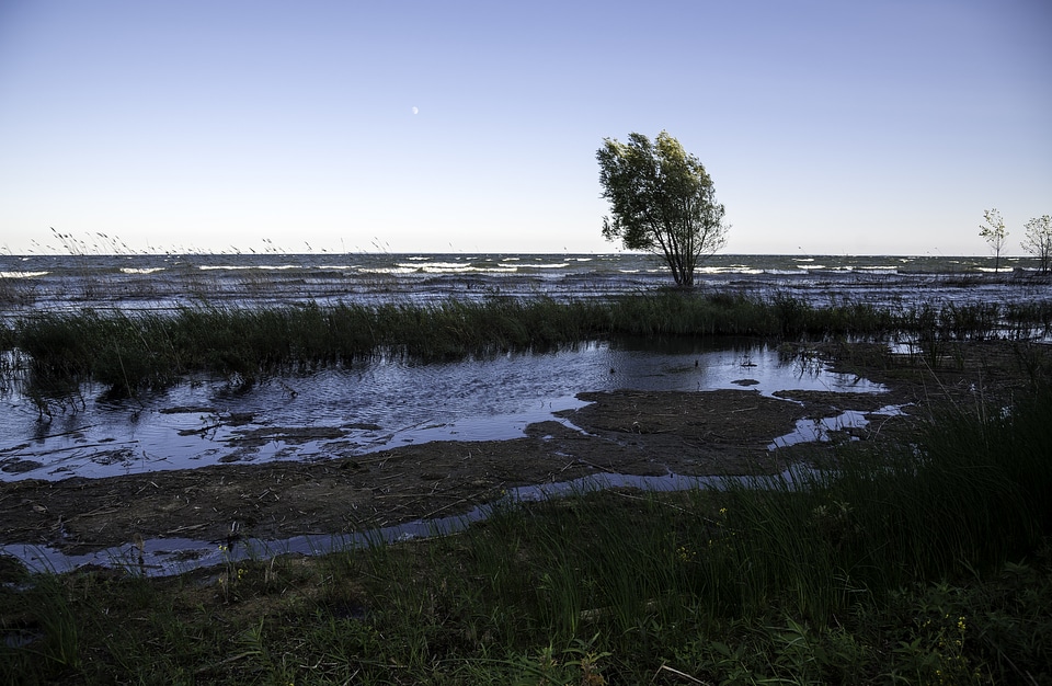 Lake Michigan landscape and Horizon with a tree at J.W. Wells State Park