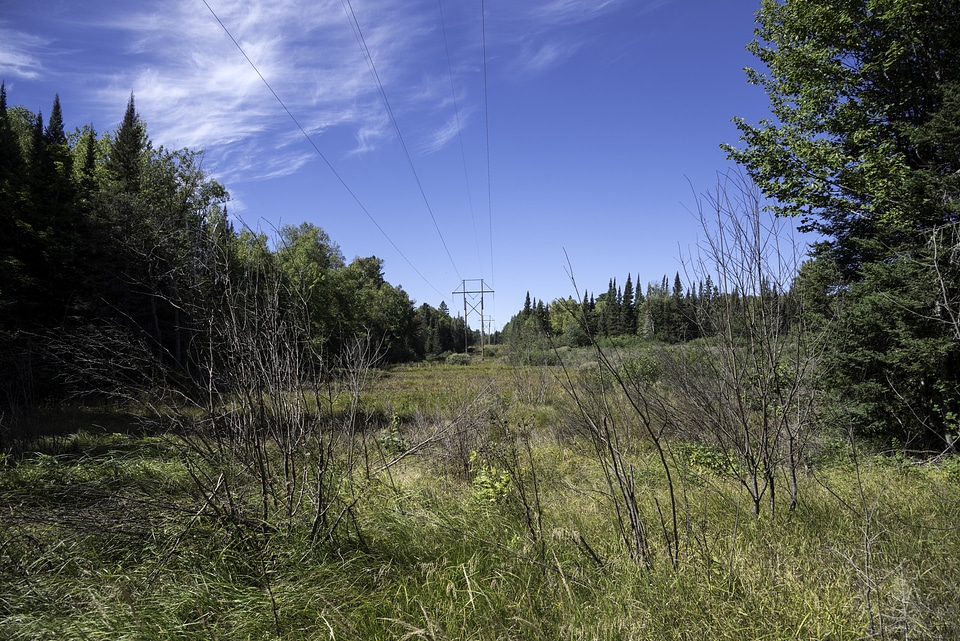 Phone Lines and landscape at Van Riper State Park, Michigan
