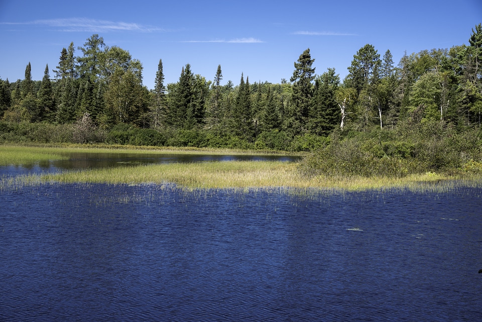 Landscape across the Peshekee River at Van Riper State Park, Michigan