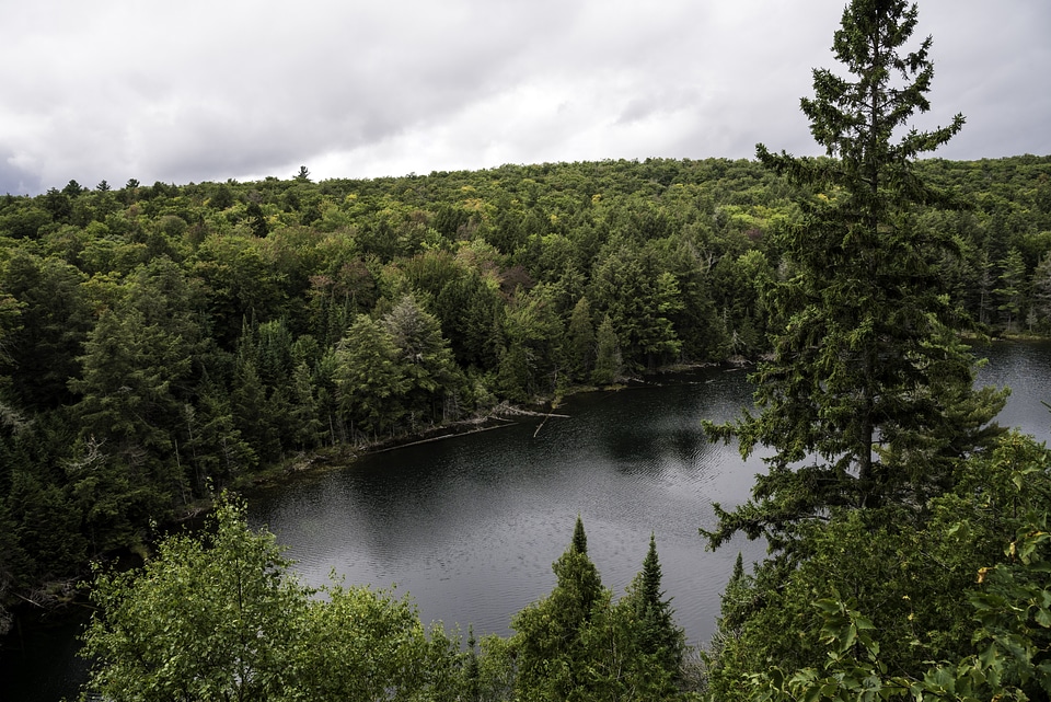 Forest and landscape and lake from Hemlock Bluff at Algonquin Provincial Park, Ontario