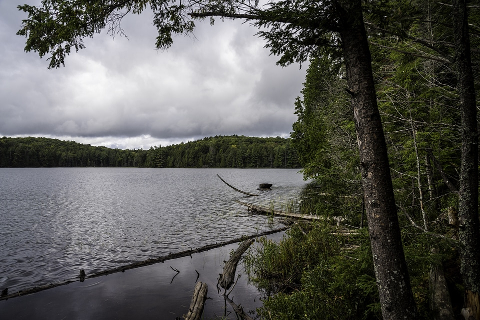 Landscape of Jack Lake in Algonquin Provincial Park, Ontario