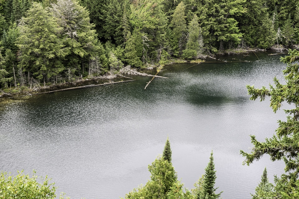 Close up of Jack Lake at Algonquin Provincial Park, Ontario