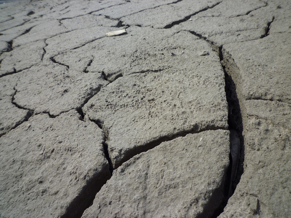 Cracks dry clay soil