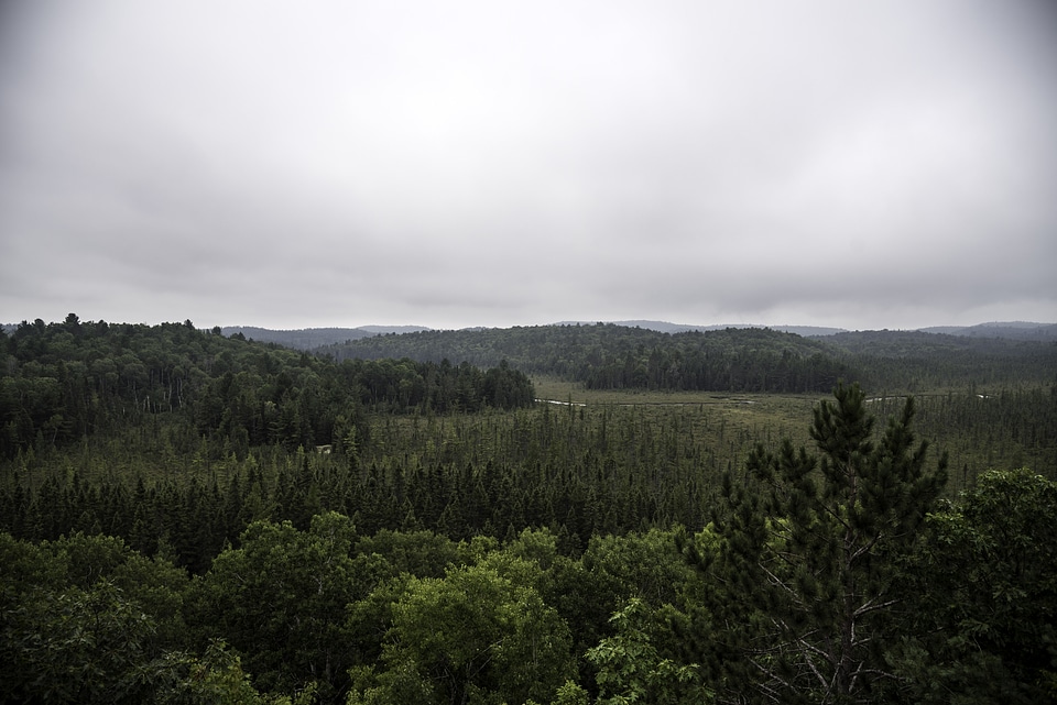 Hills and Forest landscape at Algonquin Provincial Park, Ontario