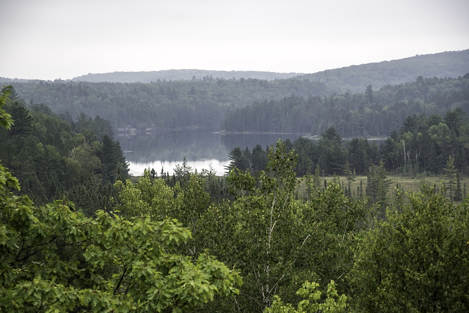 Lake landscape on a foggy day in Algonquin Provincial Park, Ontario
