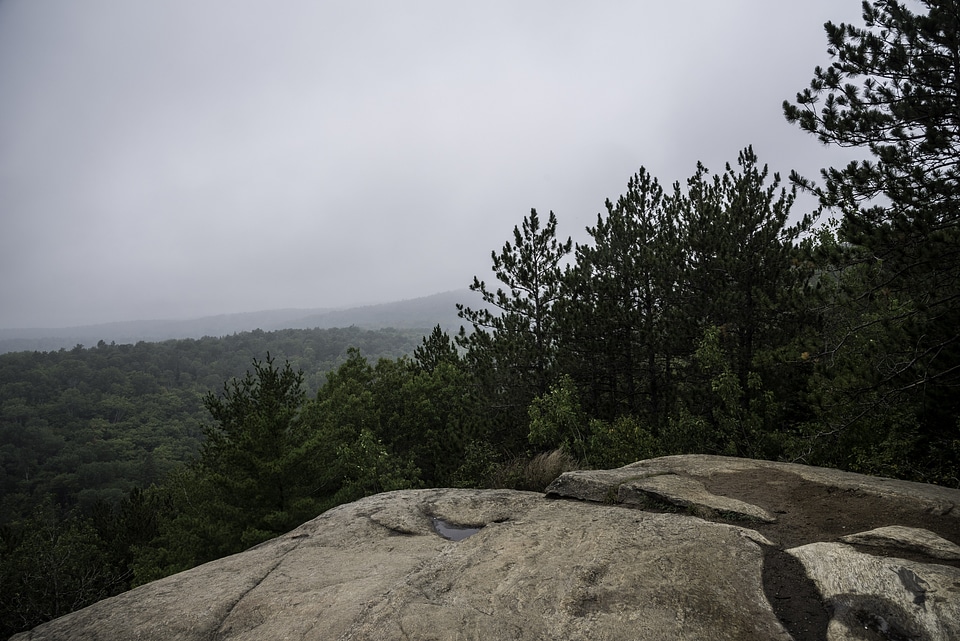 Fog and mist over the forest at Algonquin Provincial Park, Ontario