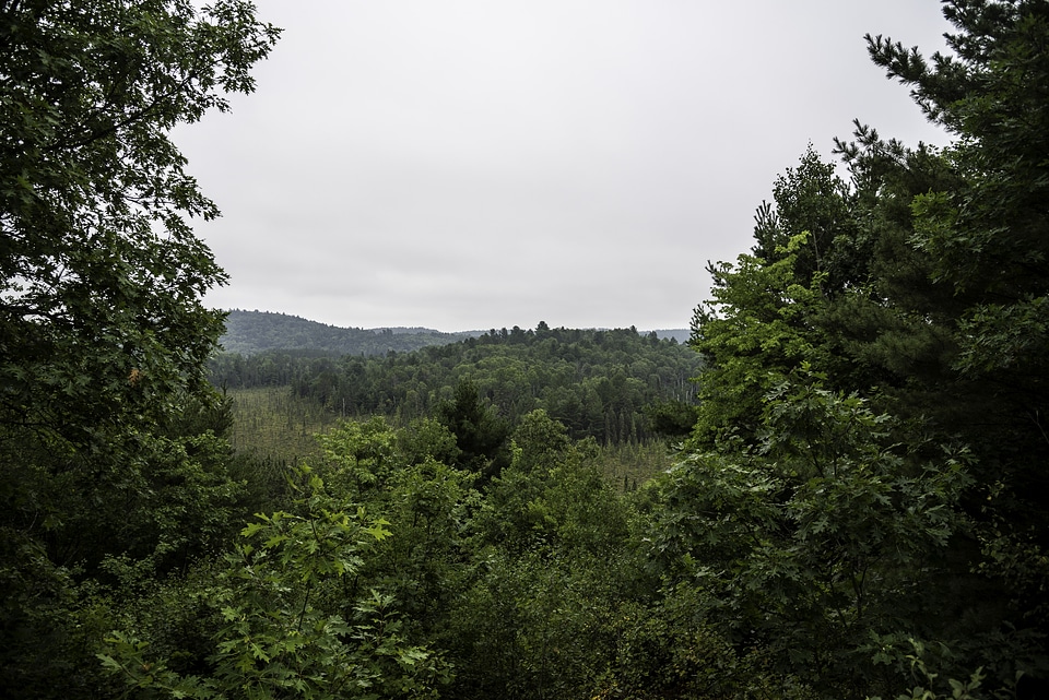 Foggy Overlook landscape at Algonquin Provincial Park, Ontario