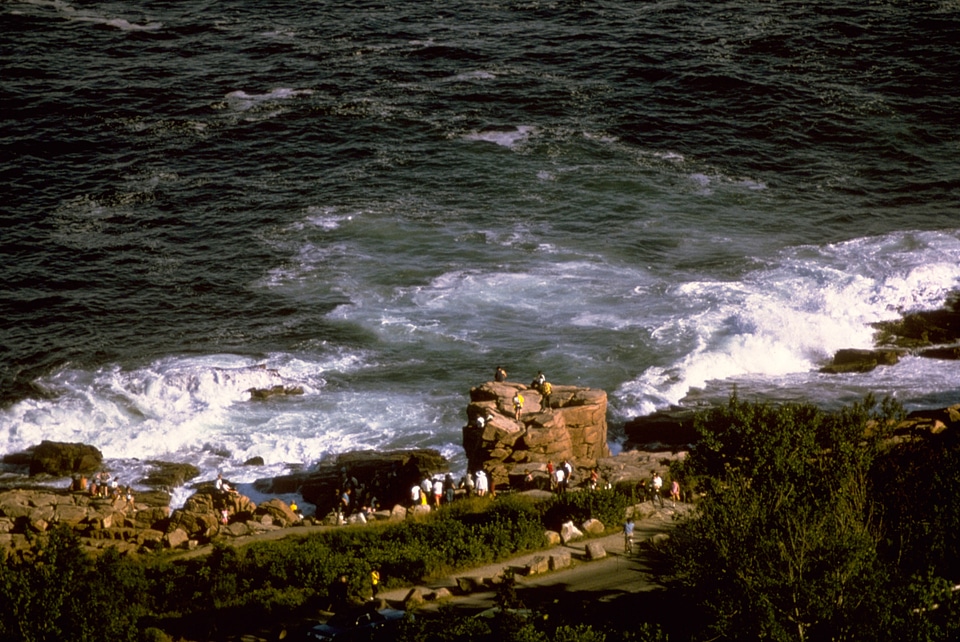 Rugged Coastline at Acadia National Park, Maine