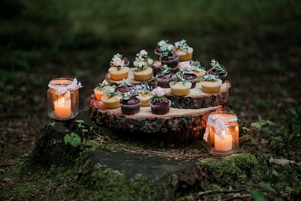 Cupcakes and candles in the woods