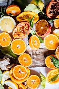 Oranges and other fruits