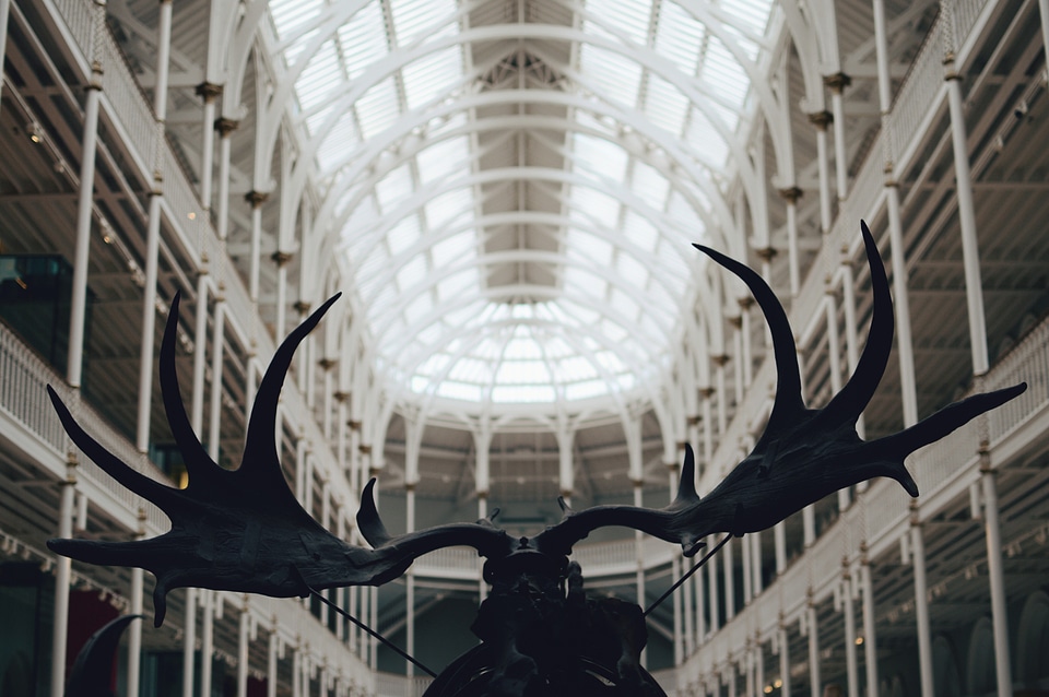 Museum of Natural History