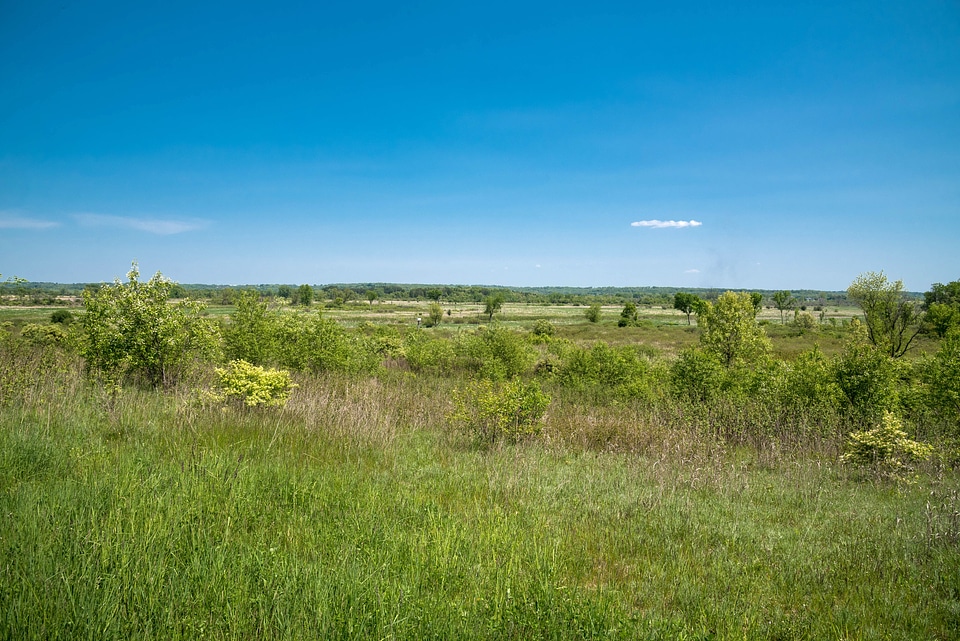 Landscape and Horizon