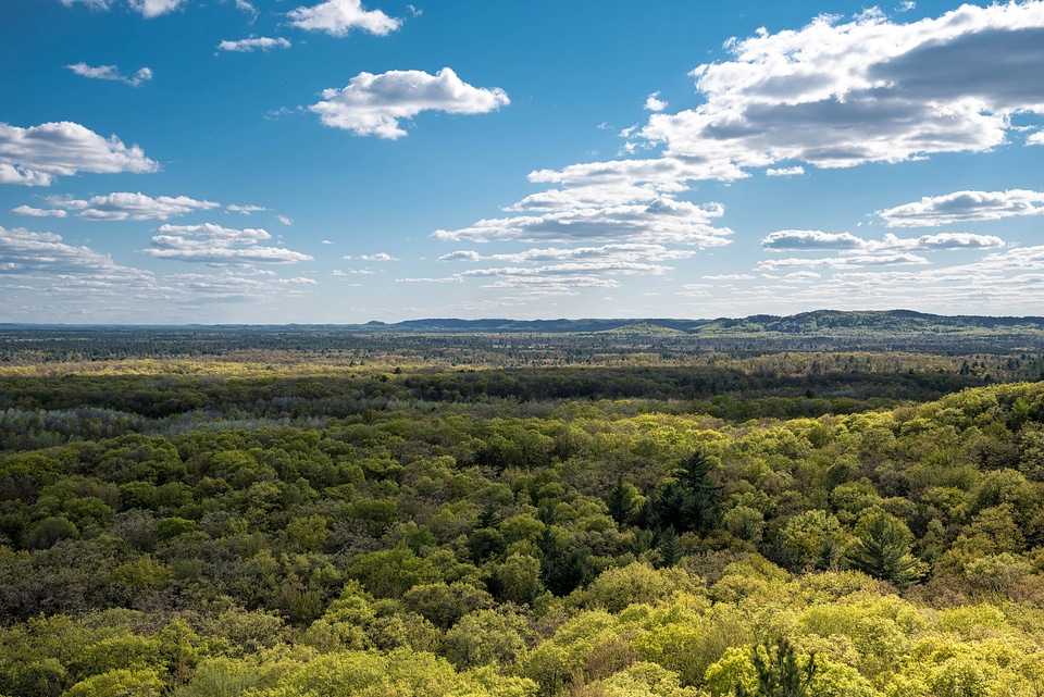 Landscape and clouds over the forest photo