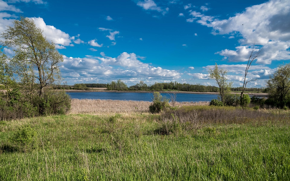 Landscape of the Marsh