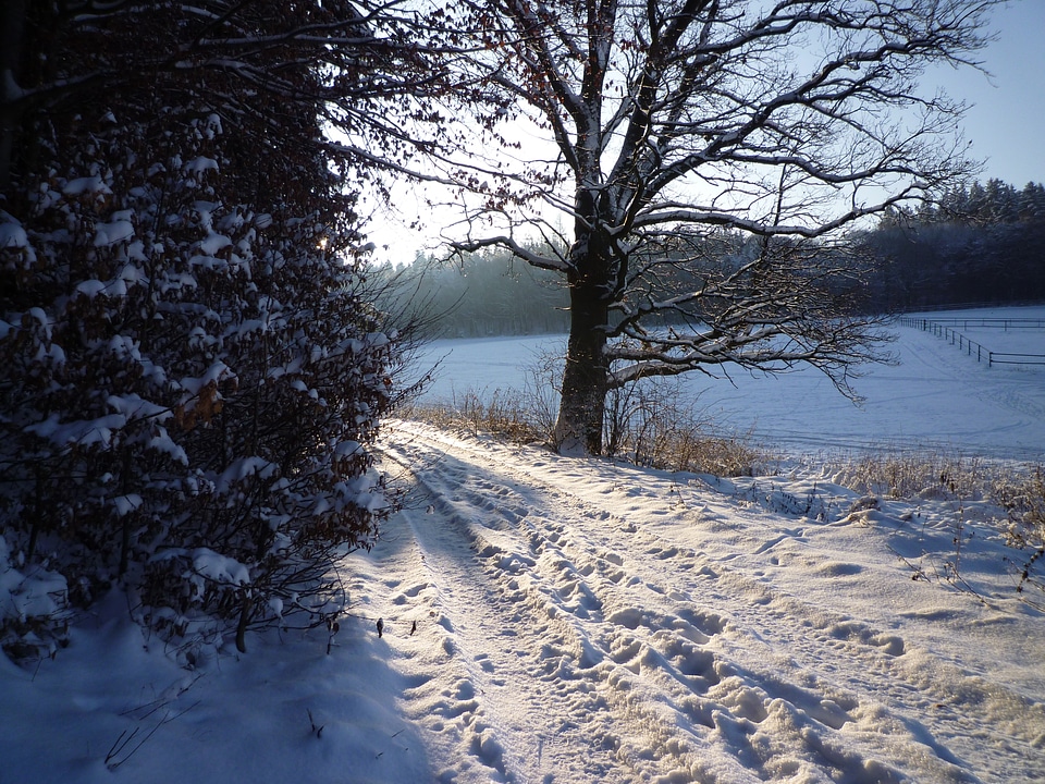 Footprints white cold