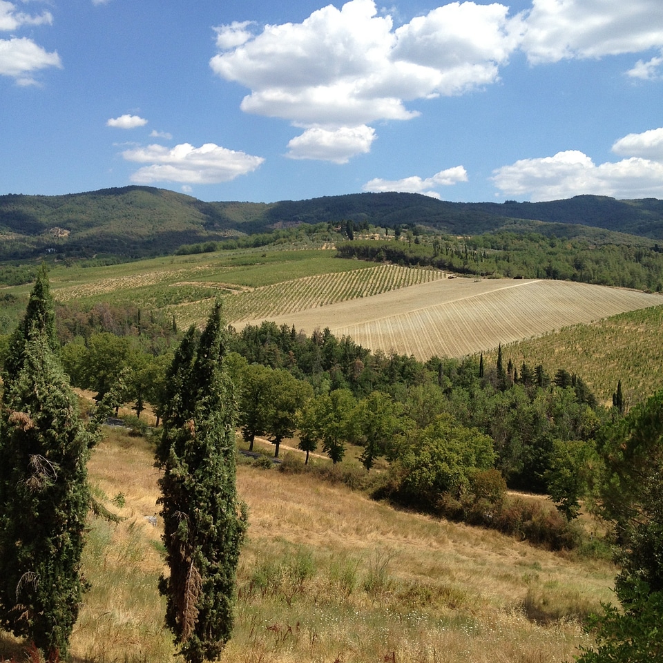 Countryside italian italy