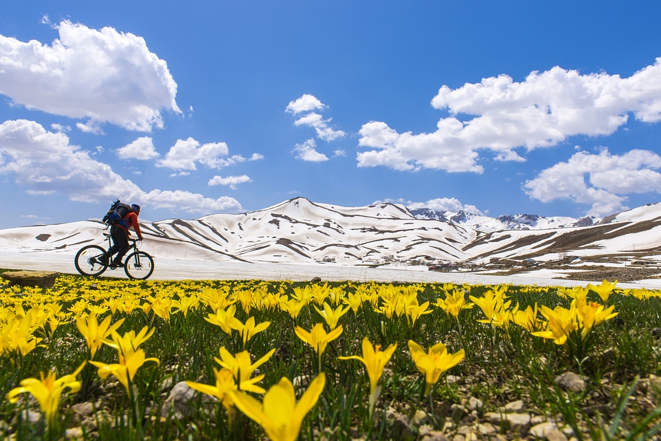 Biker going past Mountain landscape with flowers photo