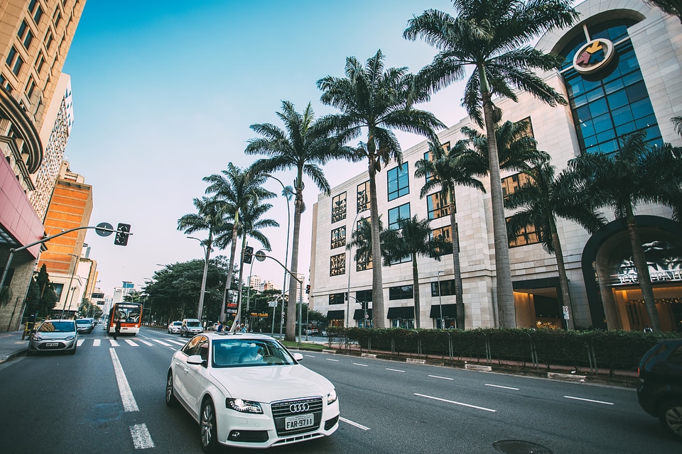 White Audi driving down the road with palm trees