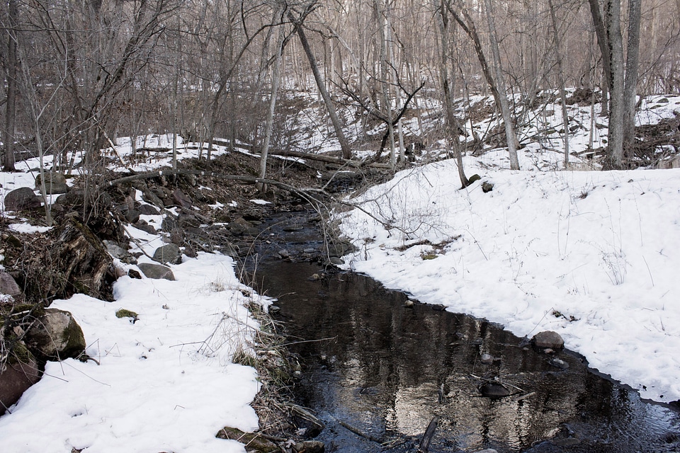 Landscape of the Creek through Parfrey's Glen in Wisconsin, Free stock photo