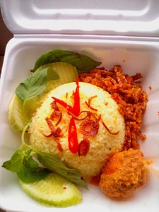 Boxed Lunch with rice and vegetables