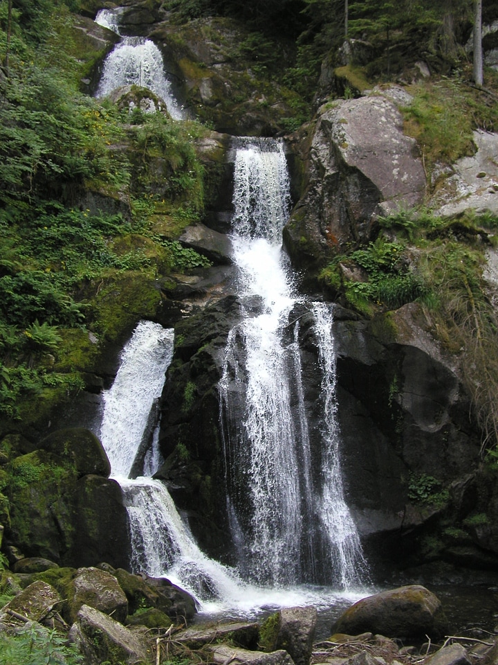 Triberg nature water