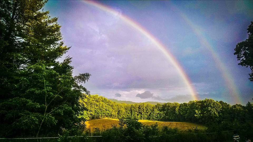 Double Rainbow over the Sky and Forest photo