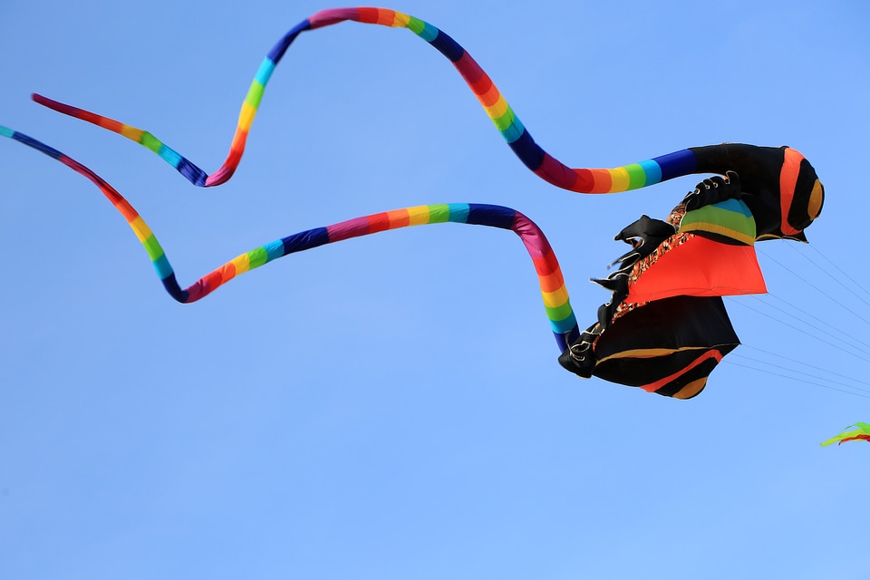 Ray Kite flying in the Sky