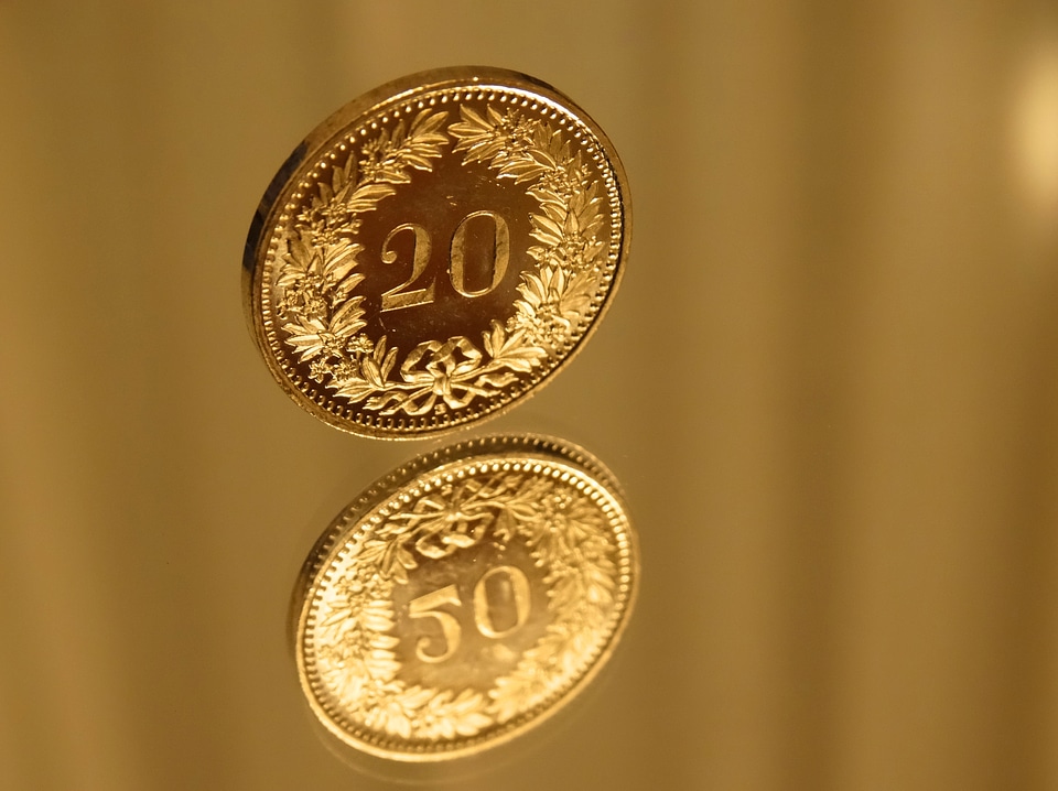 Twenty Cent Coin and Reflection