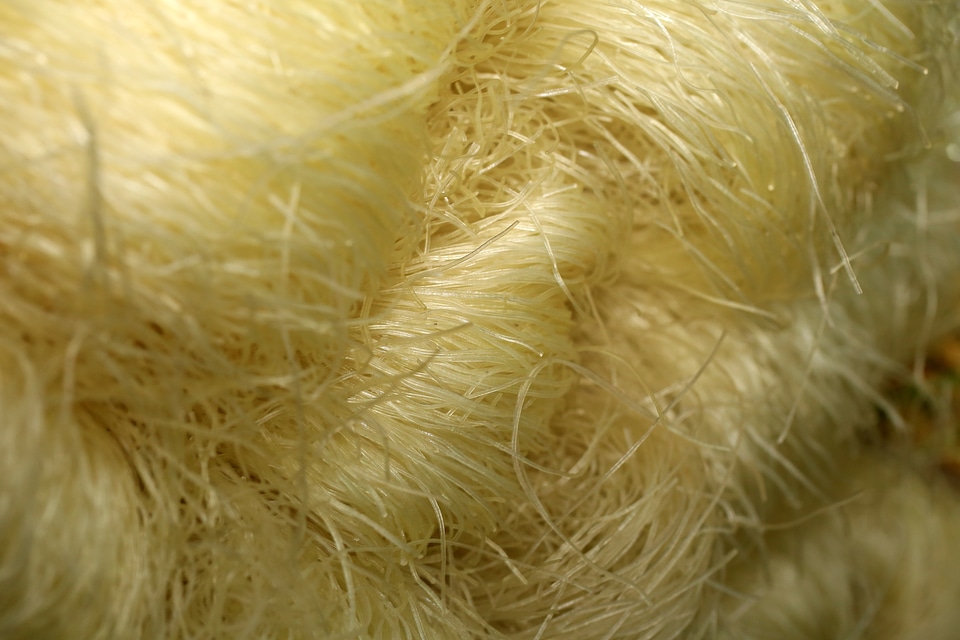Uncooked Soya Noodles
