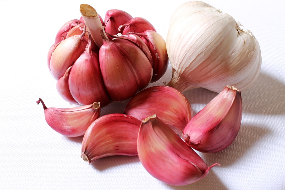 Red Garlic Cloves Food