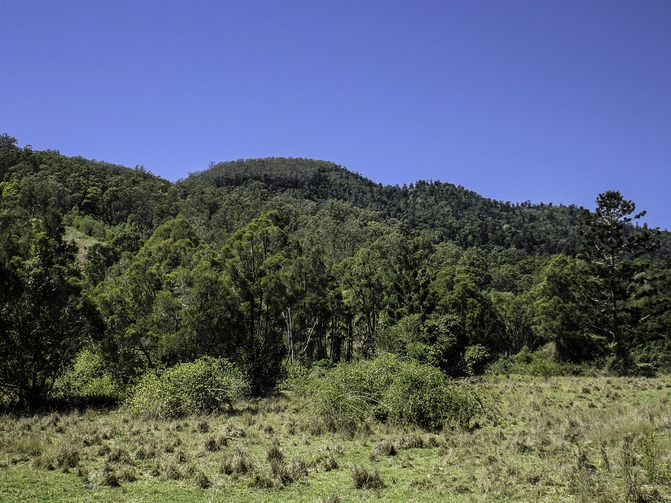 Shrubs and Hills in Lamington National Park, Queensland, Australia