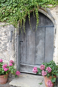 Door with flowers around it photo