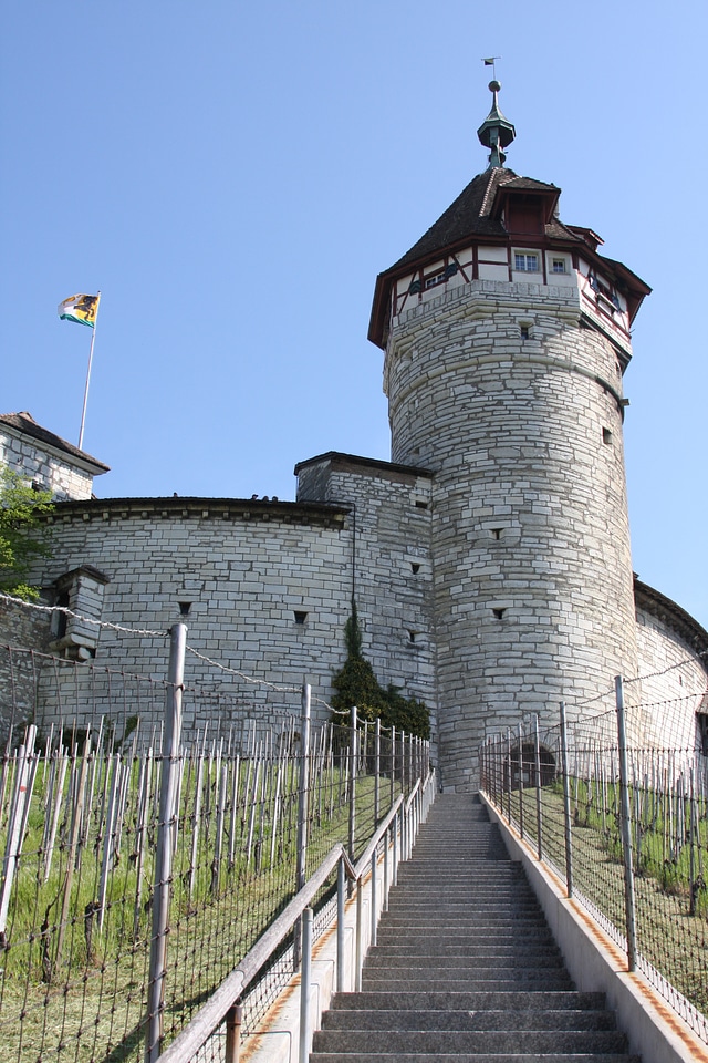 Schaffhausen munot vineyard