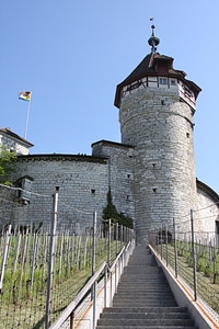 Schaffhausen munot vineyard