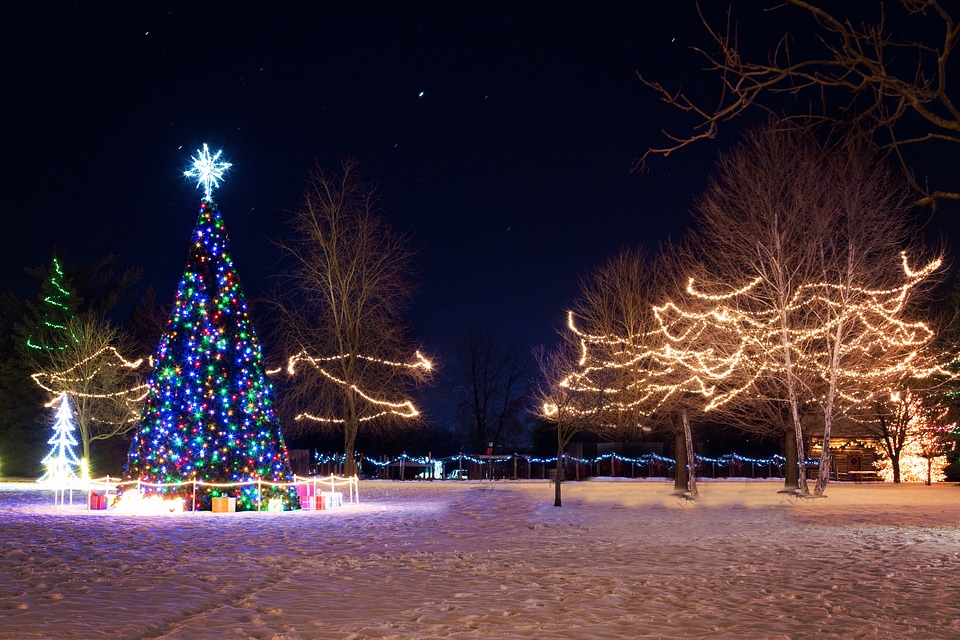 Neon Christmas Tree and Lights and Decorations