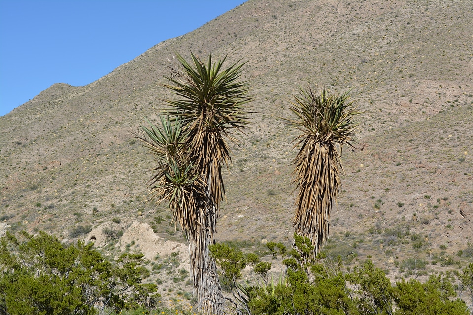 Landscape wilderness scenery