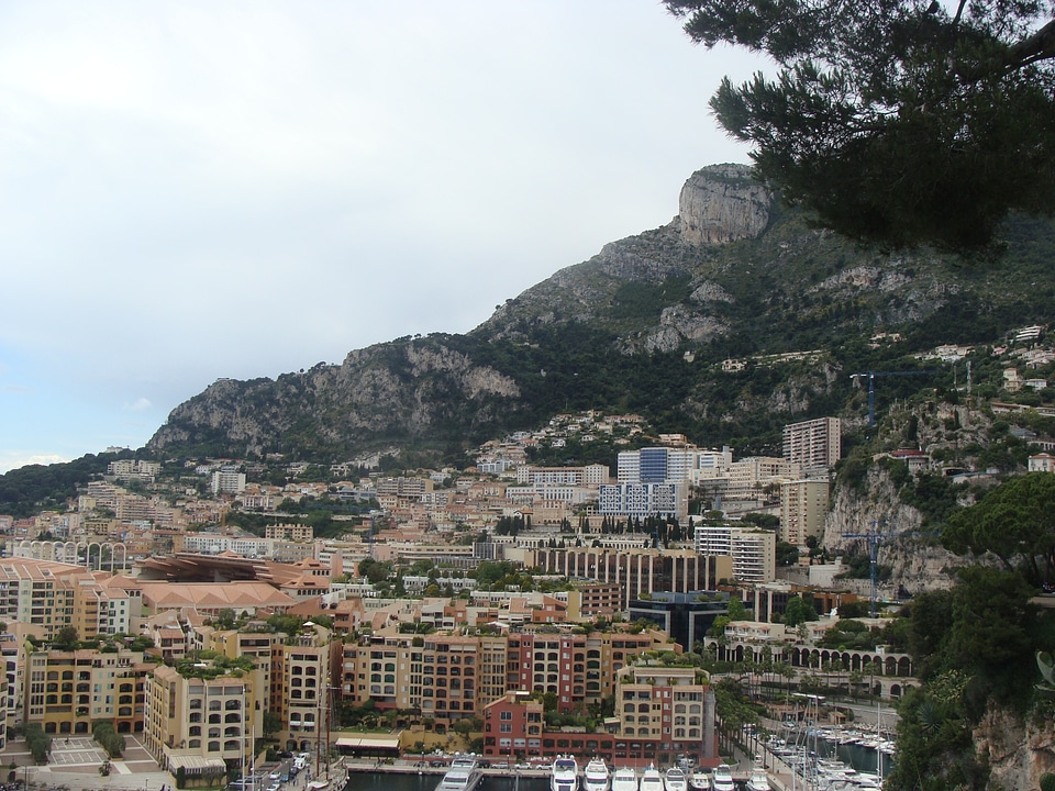 City monte carlo wood