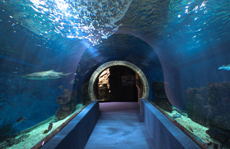 Nyíregyháza Zoo Aquarium in Hungary