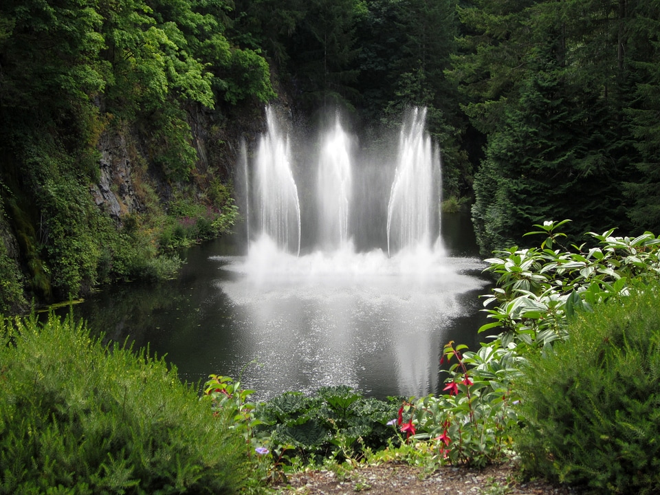 Fountains in Butchart Garden landscape in Victoria, British Columbia, Canada photo