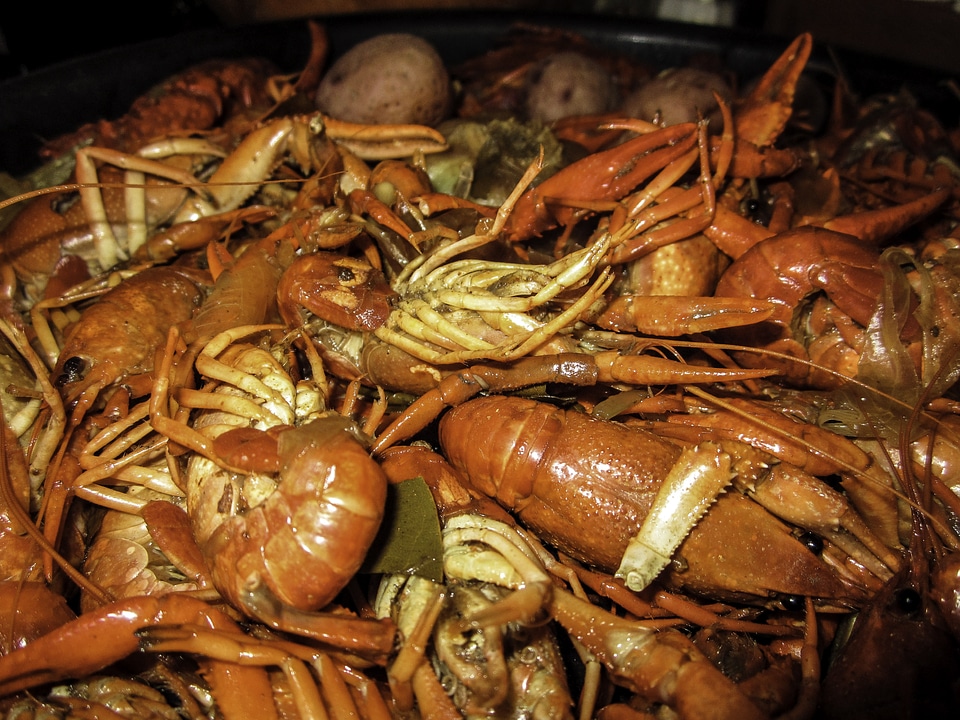 Red Crawfish Dinner in New Orleans, Louisiana