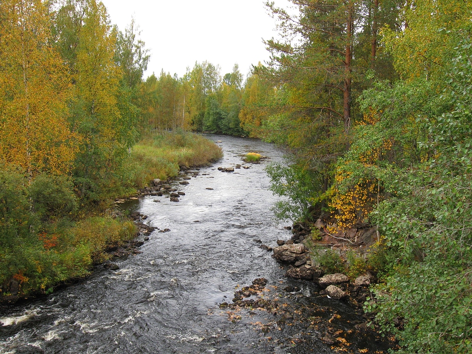 The river Keskijoki in Puolanka, Finland
