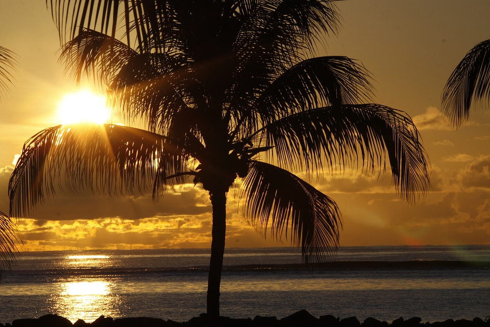 Silhouette tropical beach