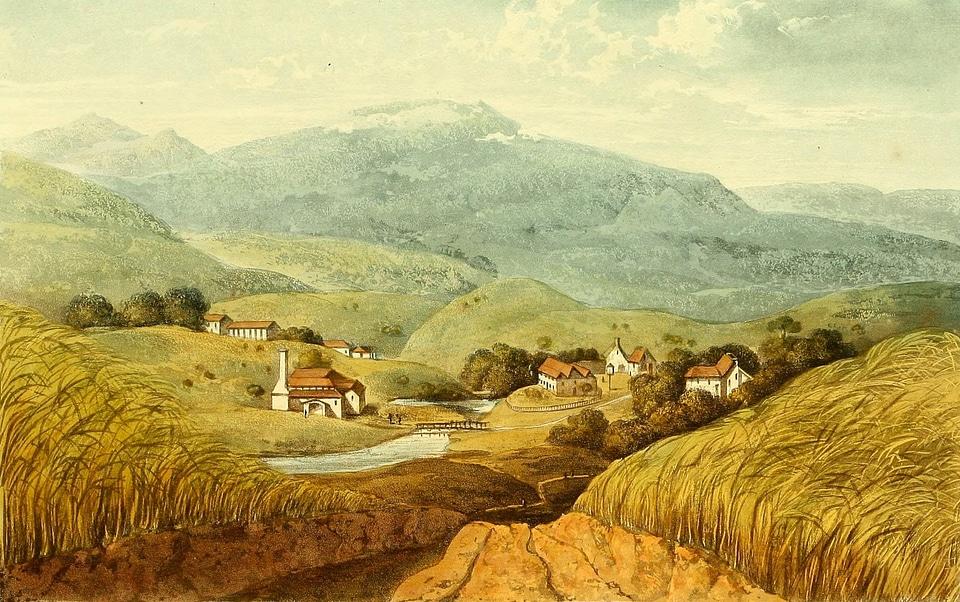 Williamsfield Estate, St. Thomas' in the Vale in Jamaica