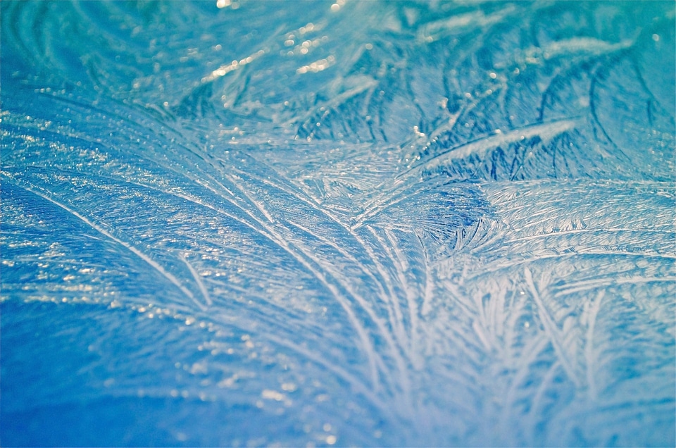Seasons macro background