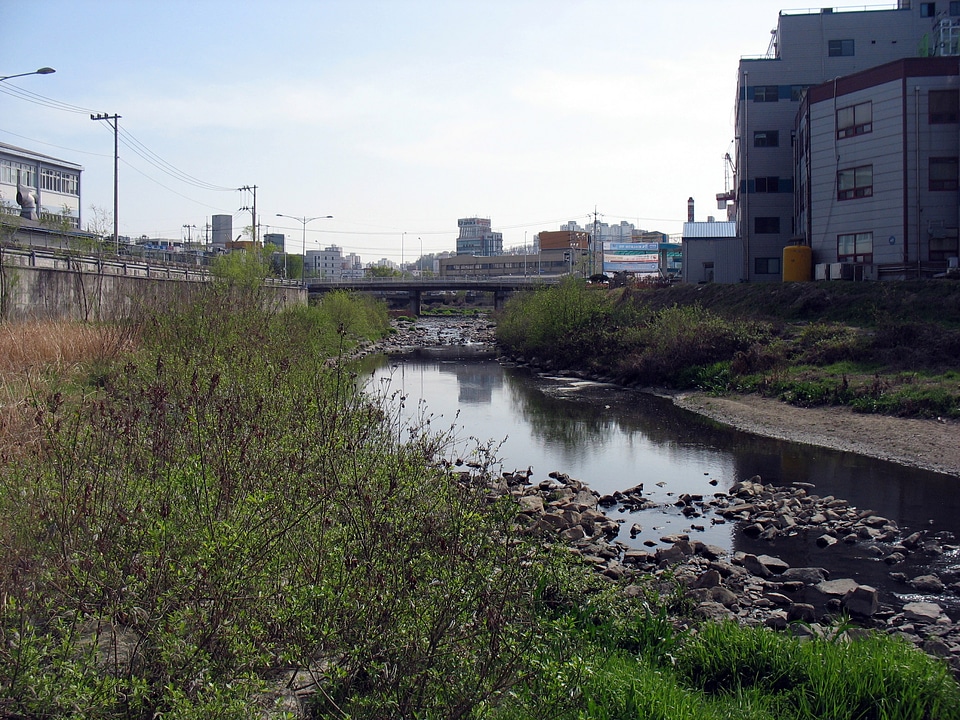 Small Creek running through Uiwang, South Korea
