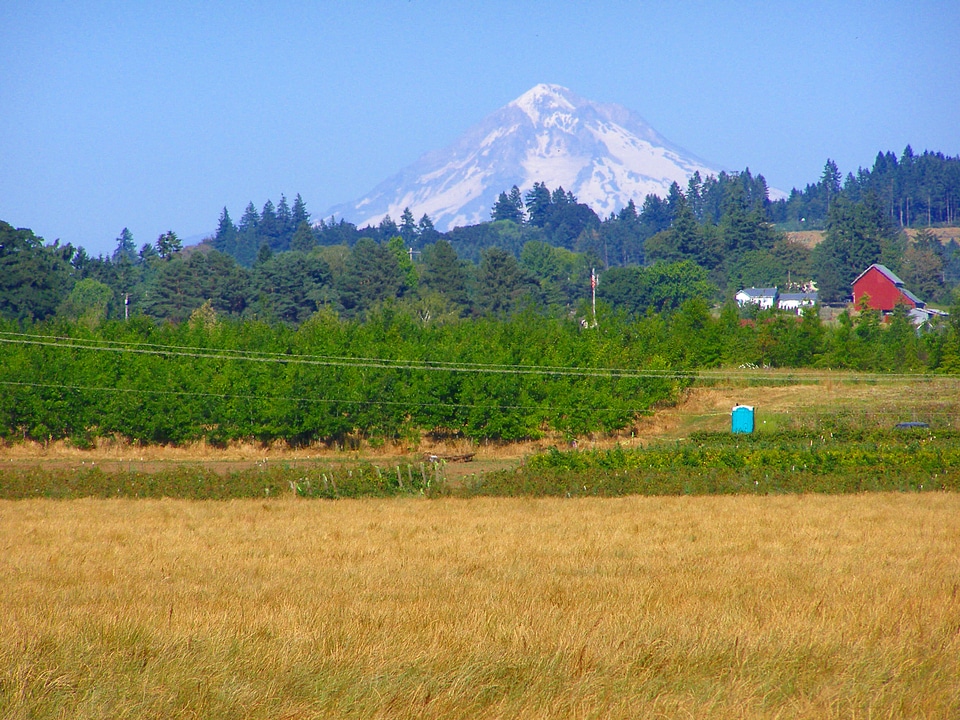 Mount Hood as seen from Molalla Forest Road in Canby, Oregon