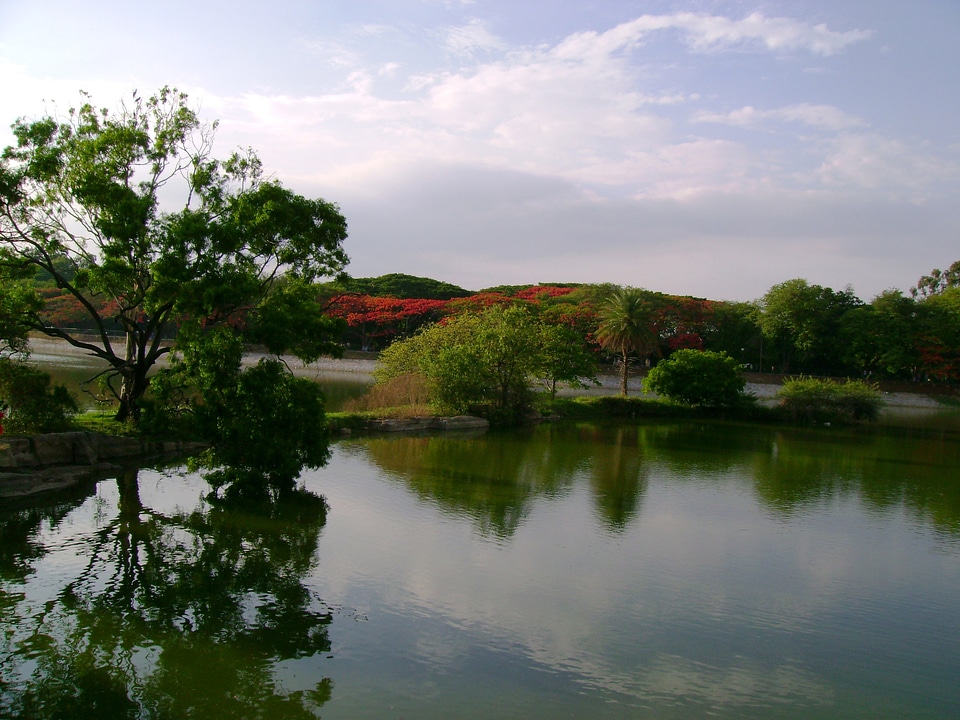 Lakeview of Lalbagh Park in Bangalore, India